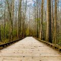 adventure-board-boardwalk-21423 adventure-board-boardwalk-21423
