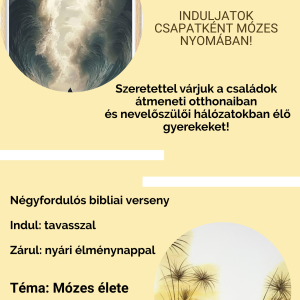 Plakát